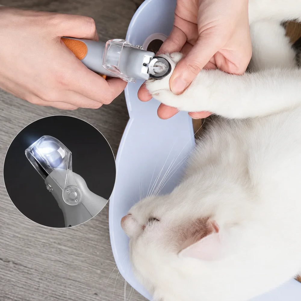 Klotång med LED-ljus för Hund och Katt
