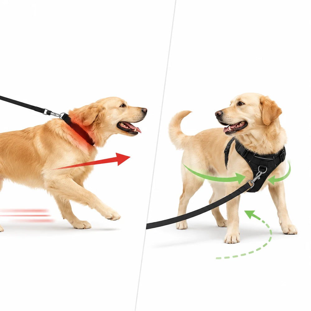 Reflekterande Antidragsele för Hund