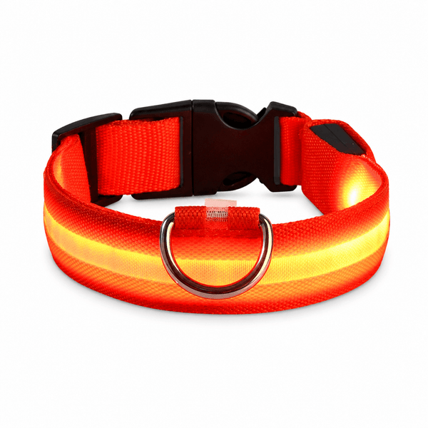 Laddningsbart LED Halsband för Hund