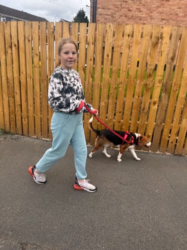Kundbild — barn som går med beagle i sele